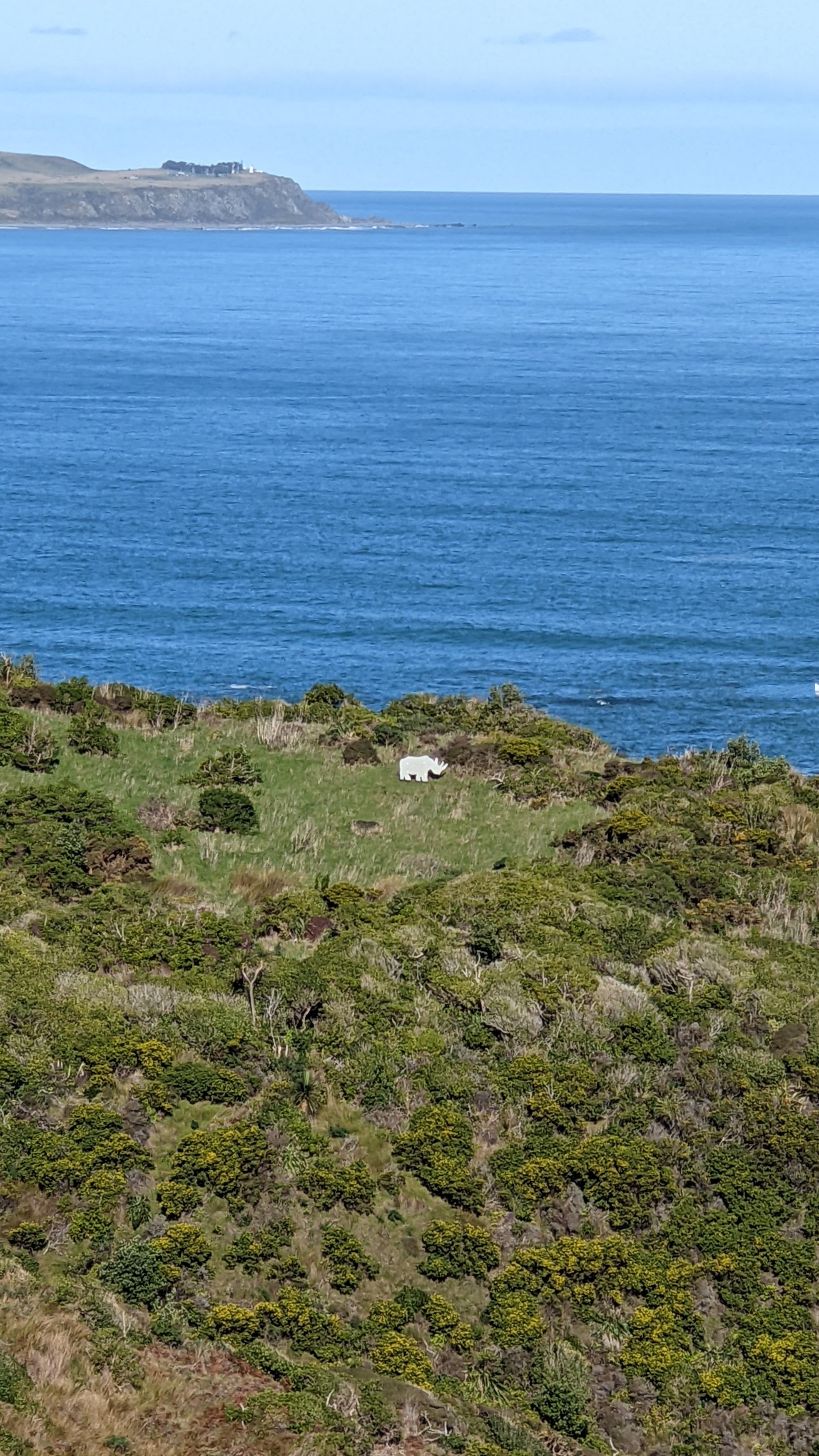 Cutout White Rhino on the next hill as seen on a clear day from Moa Point across towards the Wellington Harbour heads