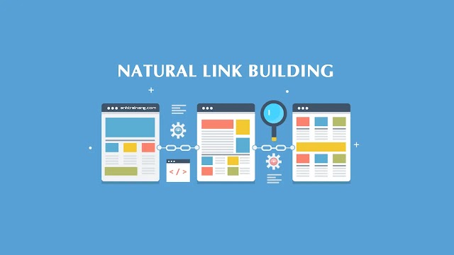 Xây dựng liên kết tự nhiên (Natural Link Building): Chiến lược Tối ưu hóa Website hiệu quả