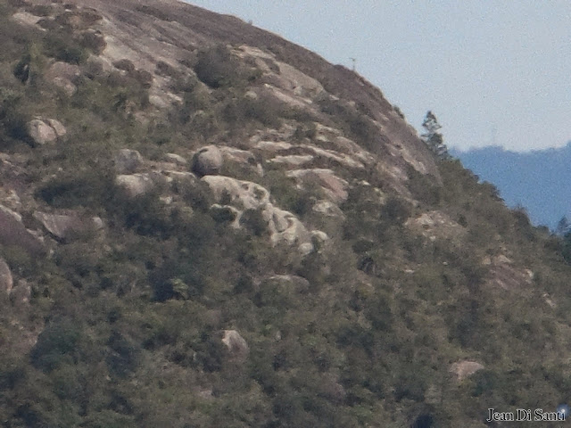 Morro Descalvado visto do Morro Sul da Serra Do Palermo