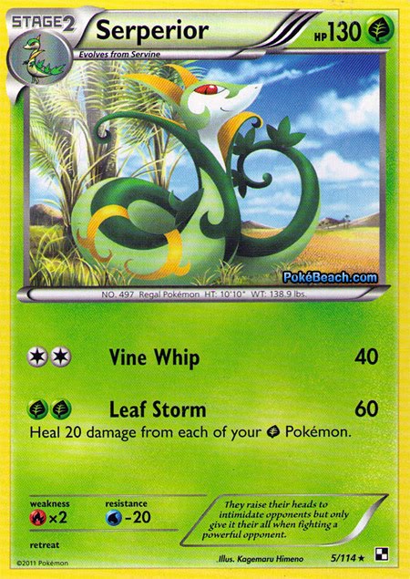 pokemon cards black and white. Today#39;s Pokemon Card of the