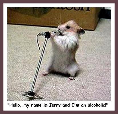 Funny Sayings  Images on Funny Animals5 Funny Animals S414x399 15596 580 Jpg