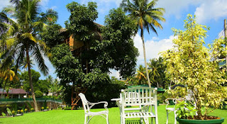 Organic Villa Hotel in Kandy Sri lanka