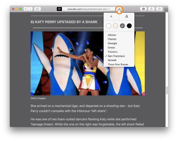 an image of safari Reader 