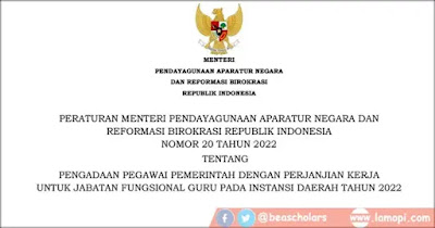 Pegawai Pemerintah Dengan Perjanjian Kerja Download Permenpan RB No 20 Tahun 2022 Tentang Pengadaan PPPK JF Guru Pada Instansi Daerah