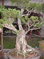 QisHomeDeco Pokok Bunga  Kertas  