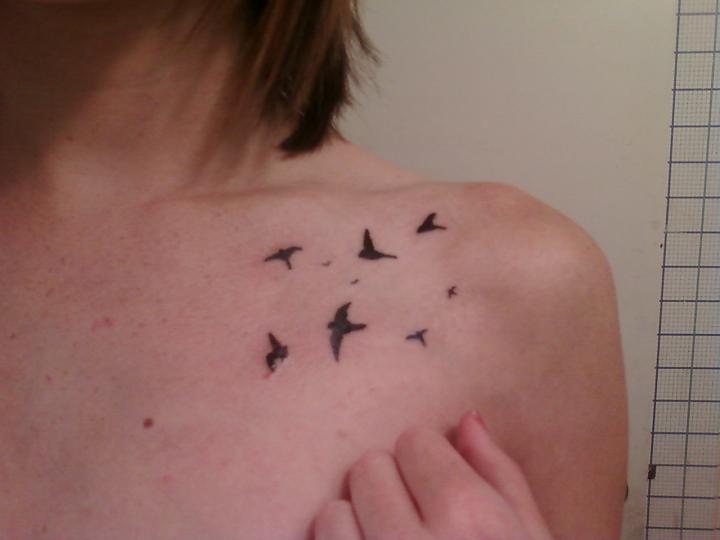Ku D vmeleri Katalog tattoo birds