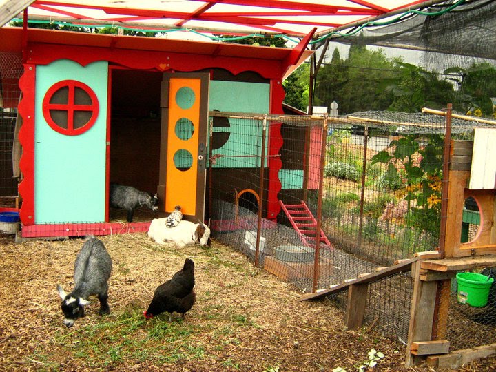 Chicken and Goat Barn