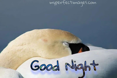 good night hd image free download