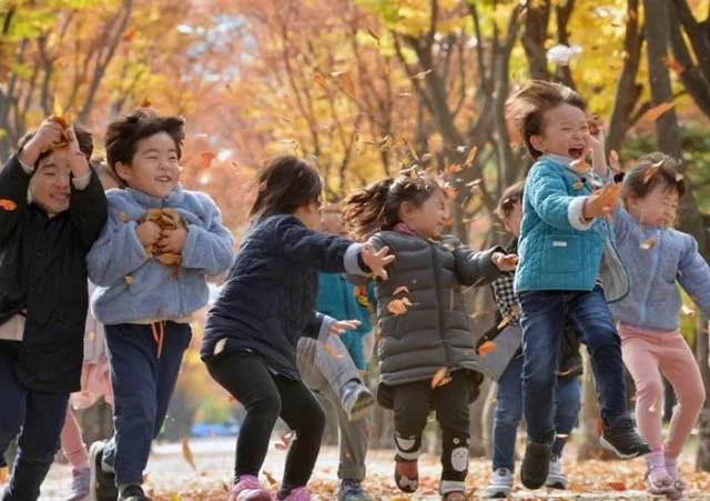 daun jatuh di sebuah taman, di Daejeon