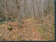 DSCN8591