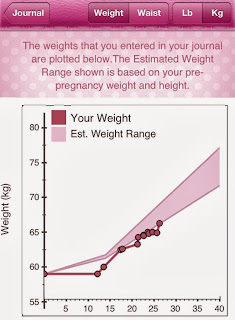 Uke 5 gravid