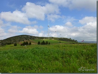 P1000975