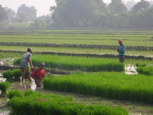 Kumpulan Foto Pemandangan Terkeren Indah