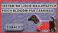 psie blogi czakiego - blogi o psach