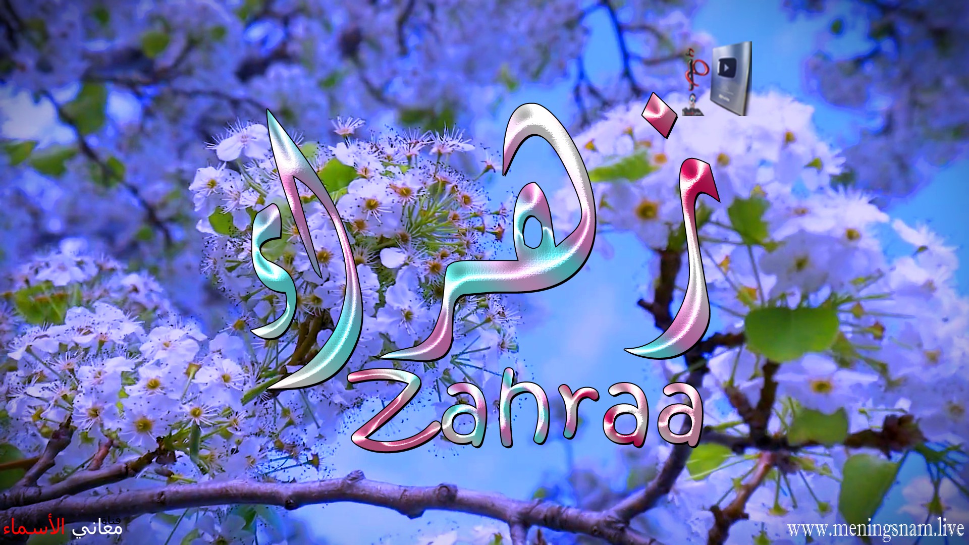 معنى اسم, زهراء, وصفات, حاملة, هذا الاسم, Zahraa,