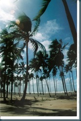 283 Canavieiras_BA