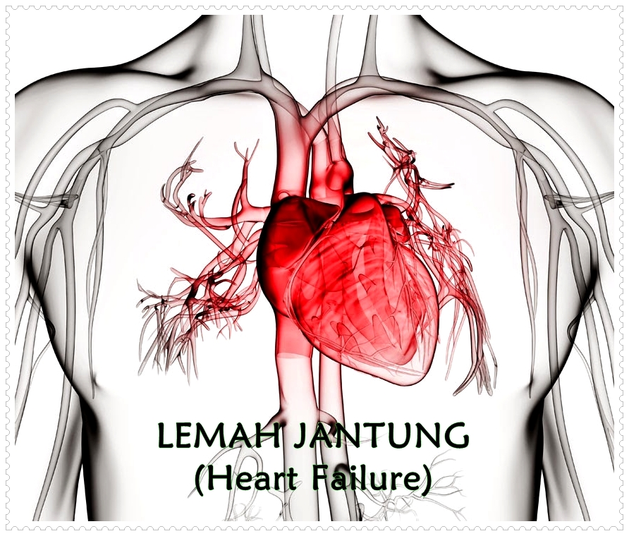 Obat Herbal Untuk Lemah | newhairstylesformen2014.com