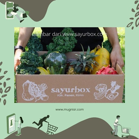 Sayurbox