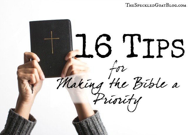 consistently read bible tips to help prioritize 