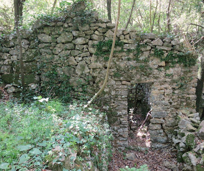 Abandoned home in San Lorenzo di Caprione, Lerici, Liguria.