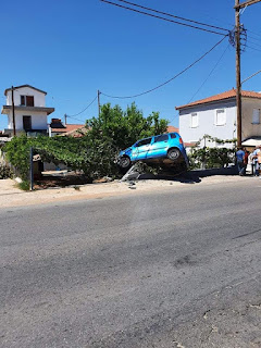 ΣΗΚΝΕΣ ΑΓΡΙΑΣ ΔΥΣΗΣ ΜΕ ΑΘΙΓΓΑΝΟΥΣ ΣΤΗΝ ΜΕΣΣΗΝΗ