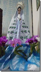 DSCF8923