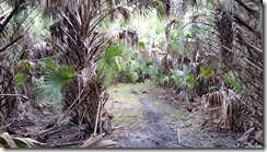 LJ Trailview 5