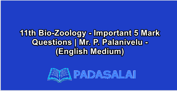 11th Bio-Zoology - Important 5 Mark Questions | Mr. P. Palanivelu - (English Medium)
