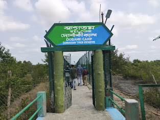 Sundarban tourism