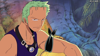 ワンピース アニメ 空島 スカイピア 166話 ロロノア・ゾロ Roronoa Zoro | ONE PIECE Episode 166 Skypiea