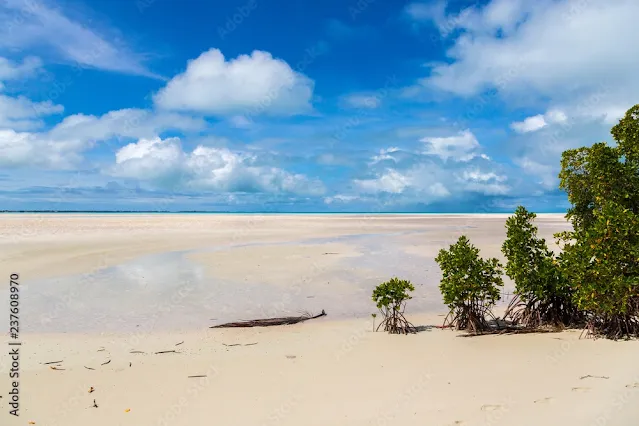 atol de North Tarawa, Kiribati-1