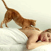 gif Gato masajista de señoras