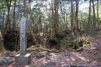 竜宮洞穴（セの海神社）