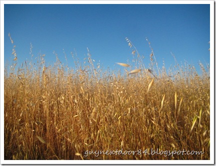 IMG_0041 IMG_0041