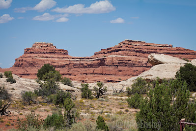 Canyonlands by Mike Ensley