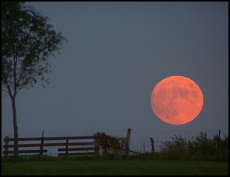 40480246_ze2oGbfW_harvest_moon