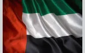 عناوين وفروع شركة dxn في البلدان العربية