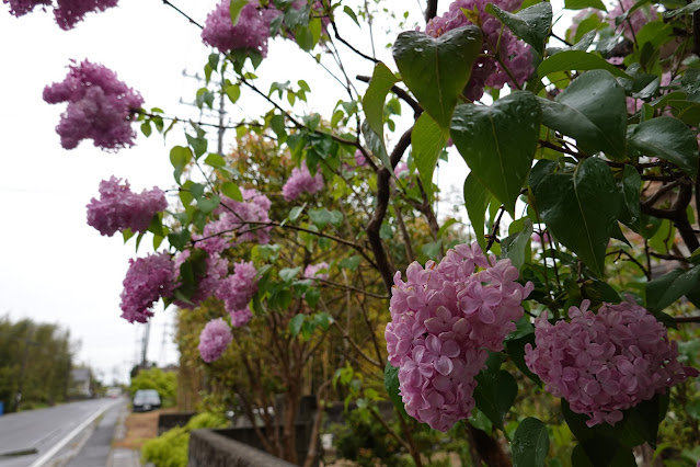 鳥取県境港市高松町