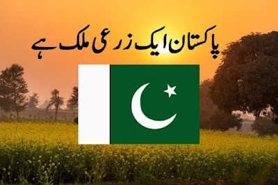 Pakistan is an agricultural country information in Urdu پاکستان ایک زرعی ملک