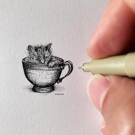 03-A-teacup-cat-Tiny-Ink-Drawings-Blake-Gore-www-designstack-co