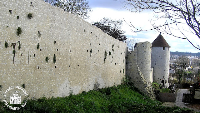 PROVINS (77) - Remparts médiévaux