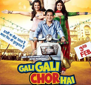 Gali Gali Chor Hai (2012) Hindi Full Movie (DVDRip) Download