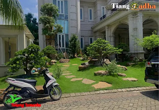 tukang taman pasar minggu jakarta selatan dan jasa taman pasar minggu