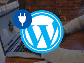  2016 WordPress Mega Plug-in Bundle