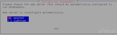 cara setting dns, instalasi web server dan mail server di debian 7