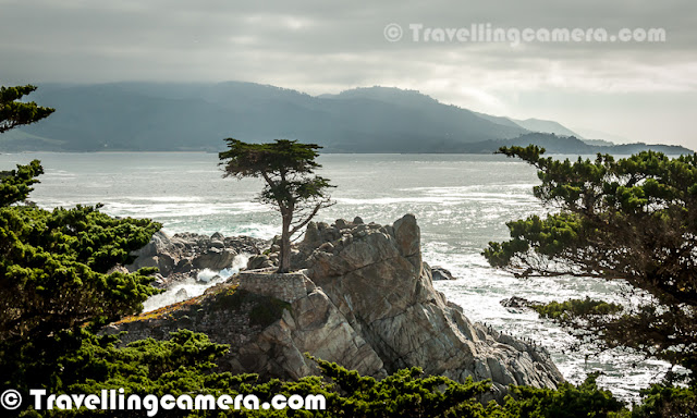 Last week we reached San Jose for some business purpose and we planned for 17 Mile Drive in Monterey in California. 17-Mile Drive is a scenic road through Pacific Grove and Pebble Beach on the Monterey Peninsula in California, which is around Pacific coastline and passes famous golf courses and mansions. Let's check out this Photo Journey to enjoy the wonderful moments while driving around 17 Mile Drive & Pebble Beach(s).It was Sunday when we hired a car from San Francisco and started with whole group from San Jose. One of the kind friends from San Jose picked his car and we started the journey towards Monterey . So two cars and 9 people. It's a wonderful drive from San Jose to Monterery, through huge agricultural land, beautiful houses, Ginger farms, Grazing grounds, Cattles, High hills, Huge mansions & Golf Courses.Part of 17 Mile Drive serves as the main road through the gated community of Pebble Beach. Inside this community, nonresidents have to pay a toll to use the road, which is $10 and it can be redeemed at Pebble Beach restaurant. Like the community, the majority of 17-Mile Drive is owned and operated by the Pebble Beach Corporation. The 17-Mile Drive is a 17-mile long scenic loop having five entrances, including one at California State Route 1 and one at Pacific Grove off Sunset Drive.Chief among the scenic attractions is the 'Lone Cypress Tree', a salt-pruned Monterey cypress (macrocarpa) tree which is the official symbol of Pebble Beach and a frequent fixture of television broadcasts from this area. In 1990 the Monterey Journal reported that Pebble Beach's lawyer, Kerry C. Smith, said 'The image of the tree has been trademarked by us,' and that it intended to control any display of the cypress for commercial purposes. The company had warned photographers that 'they cannot even use existing pictures of the tree for commercial purposes.' Other legal commentators have questioned the Pebble Beach Company's ability to invoke intellectual property laws to restrict others' use of such imagesBeaches around Pacific ocean were amazing, with lots of lovely birds flying around. When we enter into the 17 Mile drive, administration office at gate hands over a catalog with all points for tourist interest on the way. Roads have proper guiding information which makes the drive more enjoyable. On this drive, there are huge mansions with lot of space all around and a beautiful golf course, which touches Pacific Ocean.Man looking at Lone Cypress Tree around Pacific Ocean, which is one of the main attractions at 17 Mile Drive in MOntreryA photograph shot inside the 17 Mile drive only.Bird sitting on one of the rocks around shoreline of Pacific Ocean. There is a point on the way, where lot of birds, squirrels & Seals can be seen. They are huge number and people love to spend some time around this placAfter we finished the drive inside 17 Mile drive region, we went to an Indian restaurant in downtown for lunch. Everyone was happy to have great lunch here and this was best place where we got pure Indian food without any changes in the flavor.There were hundreds of healthy squirrels roaming around the shoreline of Pacific Ocean and they were quite comfortable for the offerings by tourists there. Here is a photograph showing a fat squirrel comfortable accepting the offers to eat something. 