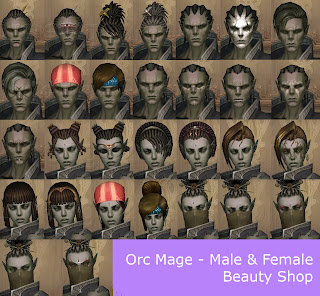 beauty shop orc mage