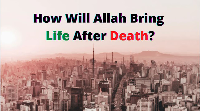 How Will Allah Bring Life After Death?
