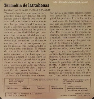 Blog Safari Club, características de la Termobia de las tahonas 