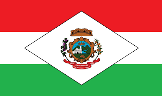 Bandeira de Pinto Bandeira RS